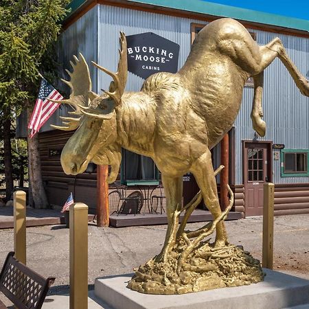 The Bucking Moose 호텔 웨스트 엘로스톤 외부 사진
