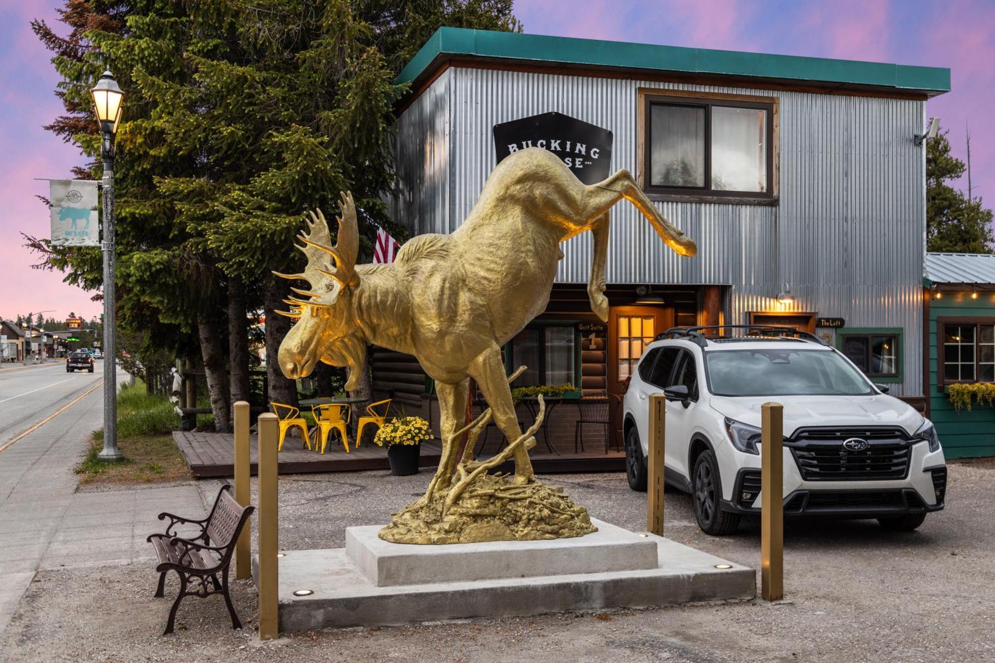 The Bucking Moose 호텔 웨스트 엘로스톤 외부 사진